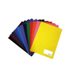 FOLDER A4 DOBLE TAPA CON GUSANO SURTIDOS - ARTESCO