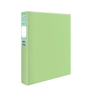 PIONER ESCOLAR A4 2 ANILLOS 25MM COLOR VERDE PASTEL