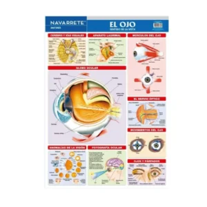 LAMINA MURAL 50 X 70 CM EL OJO