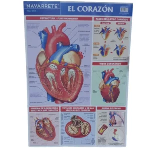 L?MINA MURAL 50 X 70 CM EL CORAZ?N