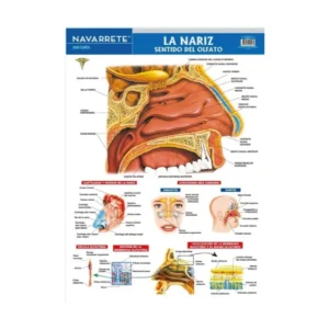 LAMINA MURAL 50 X 70 CM LA NARIZ