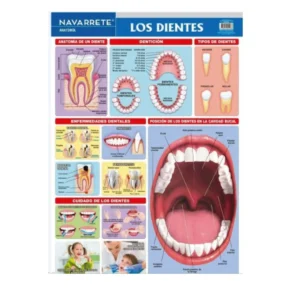 LAMINA MURAL 50 X 70 CM LOS DIENTES
