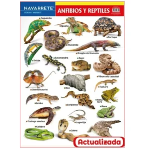L?MINA MURAL 50 X 70 CM ANFIBIOS Y REPTILES