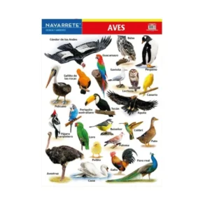 L?MINA MURAL 50 X 70 CM AVES