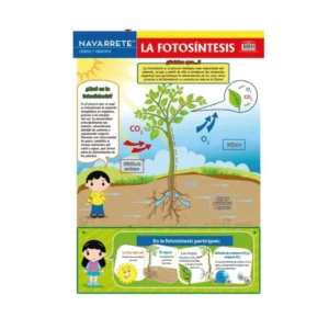 L?MINA MURAL 50 X 70 CM LA FOTOS?NTESIS