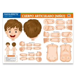 L?MINA MURAL 50 X 70 CM CUERPO ARTICULADO NI?O